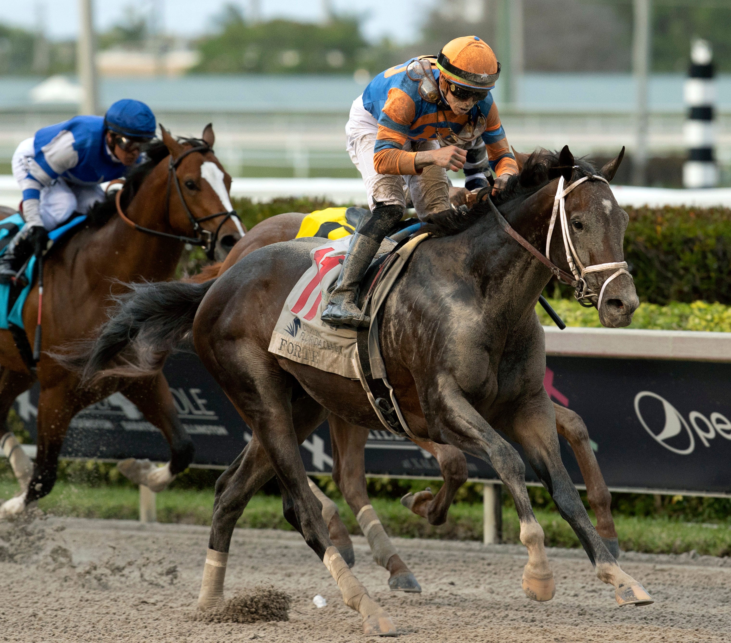 Road to the 2023 Kentucky Derby Florida Derby analysis